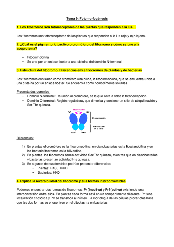 Miniatura del documento Tema09Foto.pdf