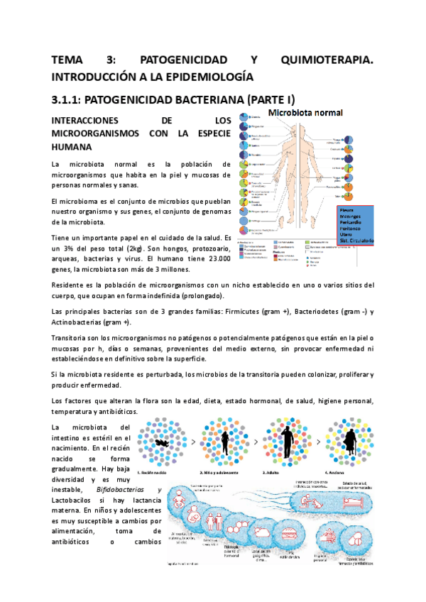 Miniatura del documento TEMA-3.pdf