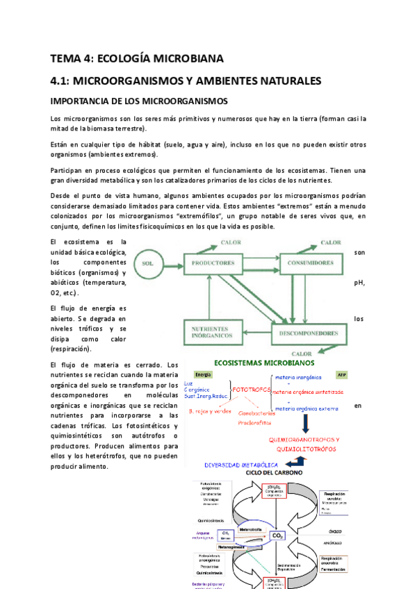 Miniatura del documento TEMA-4.pdf