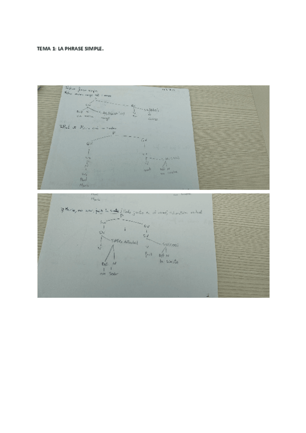Miniatura del documento theme-1-la-phrase-simple.pdf