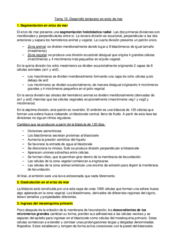 Miniatura del documento Tema 10. Desarrollo temprano en erizo de mar.pdf