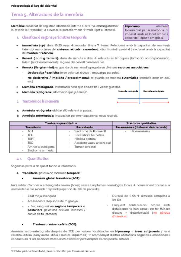 Miniatura del documento alteracions-memoria.-t5.pdf