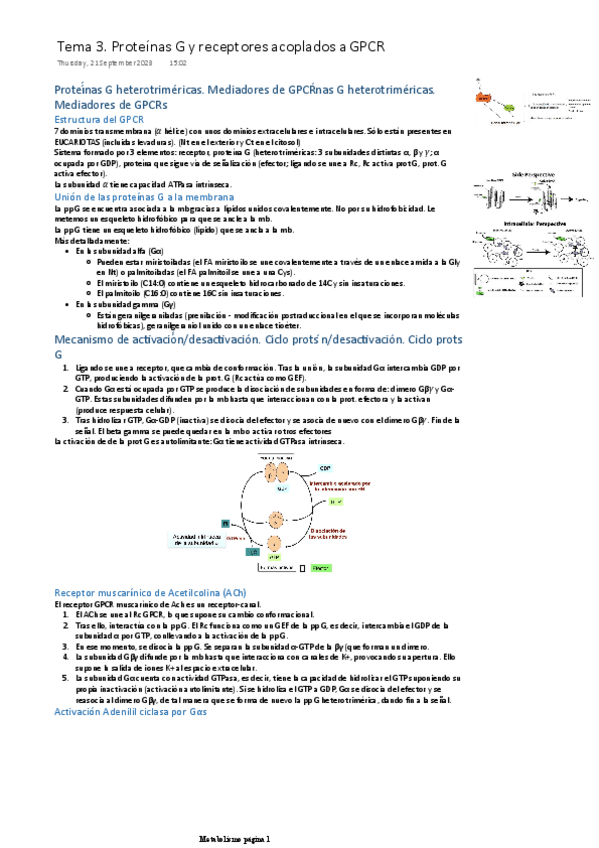Miniatura del documento TEMA-3.-Proteinas-G-y-receptores-acoplados-a-GPCR.pdf