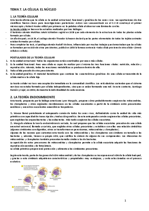 Miniatura del documento TEMA-7.-LA-CELULA.-EL-NUCLEO.pdf