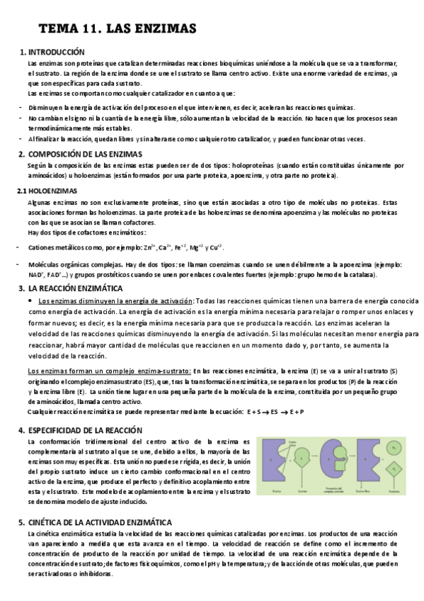 Miniatura del documento TEMA-11.-LAS-ENZIMAS-Y-VITAMINAS.pdf