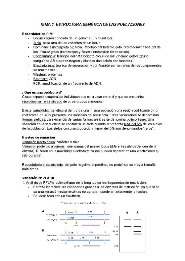 Miniatura del documento TEMA-1-GENETICA-apuntes.pdf