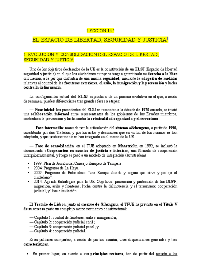 Miniatura del documento Espacio-libertad-seguridad-y-justicia.pdf