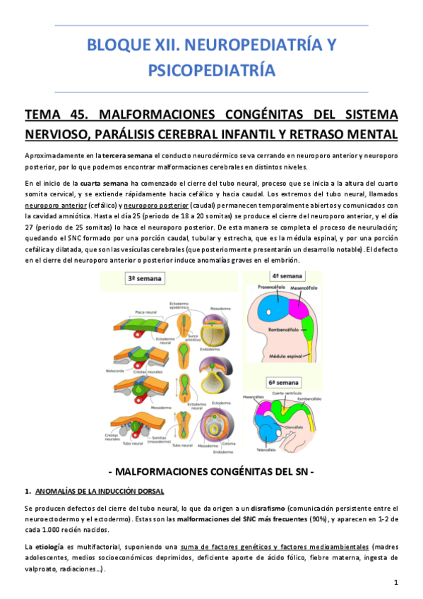 Miniatura del documento BLOQUE-XII.-NEUROPEDIATRIA-Y-PSICOPEDIATRIA.pdf