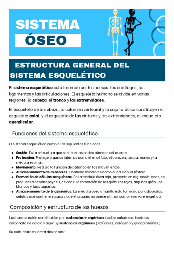 Miniatura del documento Sistema-oseo-1-bachillerato.pdf