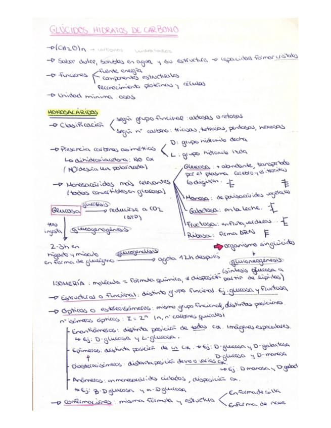 Miniatura del documento Glúcidos T2.pdf