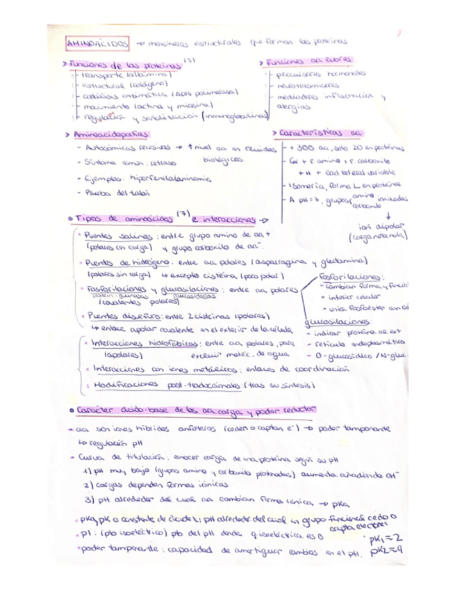 Miniatura del documento Aminoacidos-T4.pdf