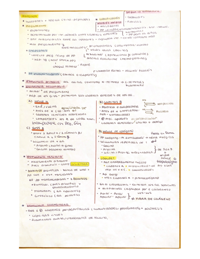 Miniatura del documento Proteinas-t5.pdf