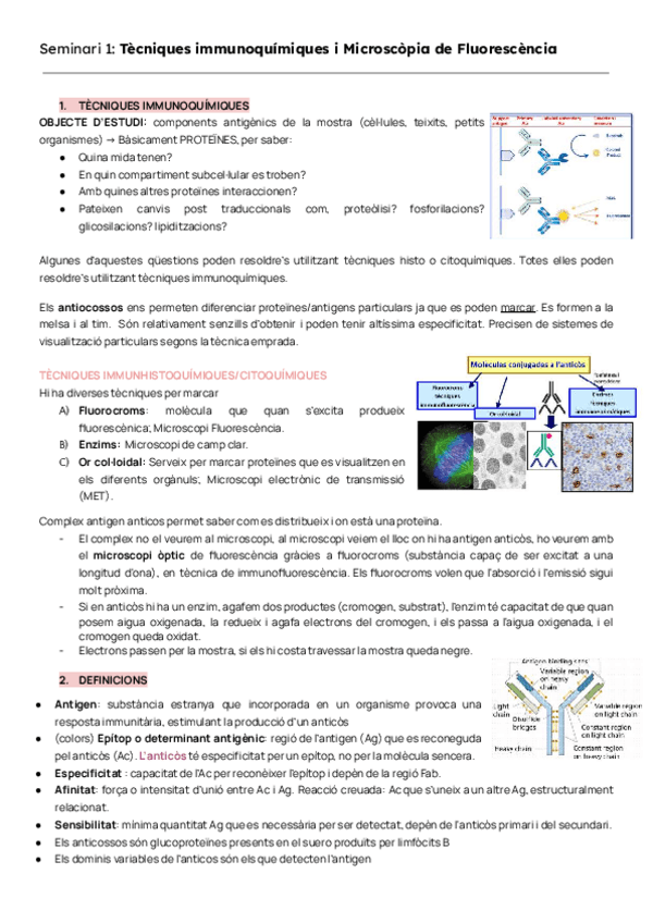 Miniatura del documento BIOLOGIA CEL·LULAR SEMINARIS.pdf