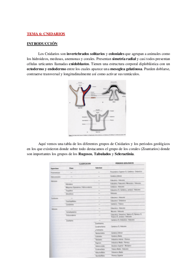 Miniatura del documento AP-PALEO-TEMA-6-WH.pdf