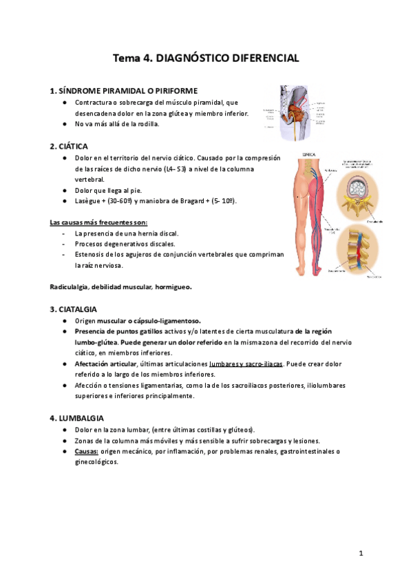 Miniatura del documento Terapia-Manual-T4.pdf