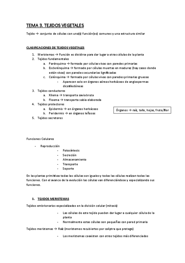 Miniatura del documento Tema-3.-Tejidos-Vegetales.pdf