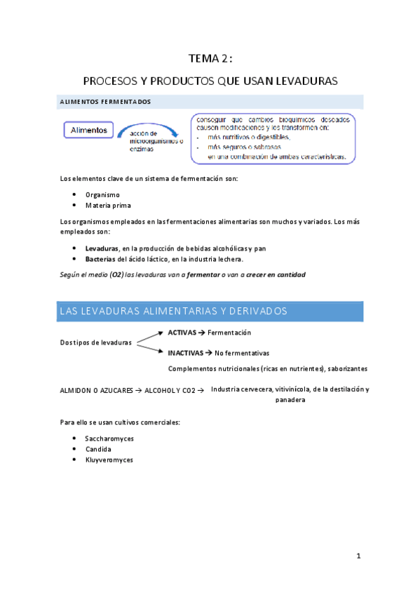 Miniatura del documento RESUMEN.-TEMA-2.-PROCESOS-Y-PRODUCTOS-QUE-USAN-LEVADURAS..pdf