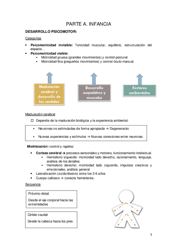 Miniatura del documento PARTE-A.-INFANCIA-Y-ADOLESCENCIA.pdf