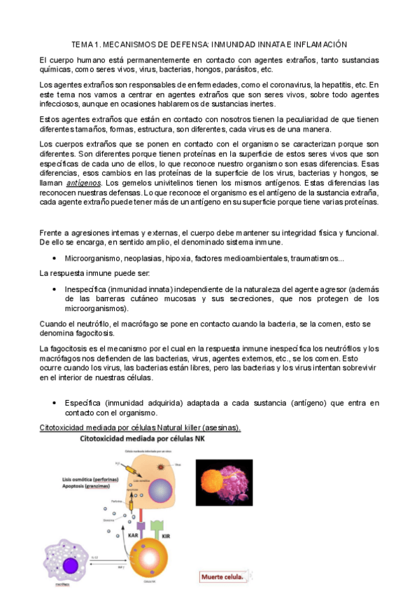 Miniatura del documento TEMA-1.pdf
