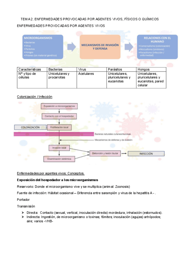 Miniatura del documento TEMA-2.pdf