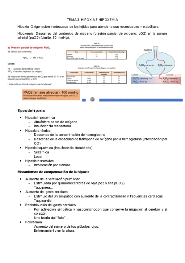 Miniatura del documento TEMA-3.pdf
