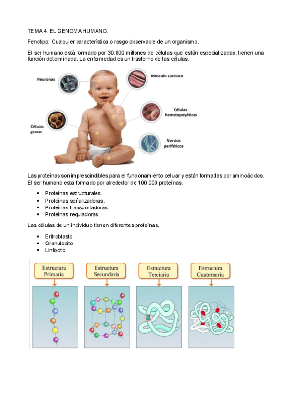 Miniatura del documento TEMA-4-5-6-7.pdf