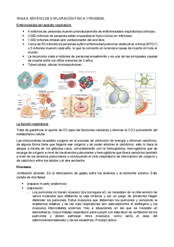 Miniatura del documento TEMA-8-9-10.pdf