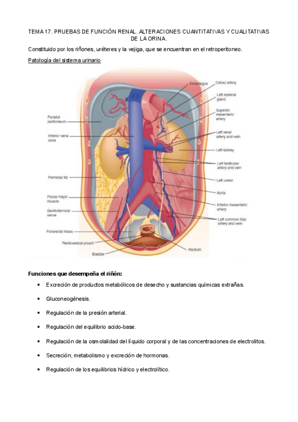 Miniatura del documento TEMA-17-18-19.pdf