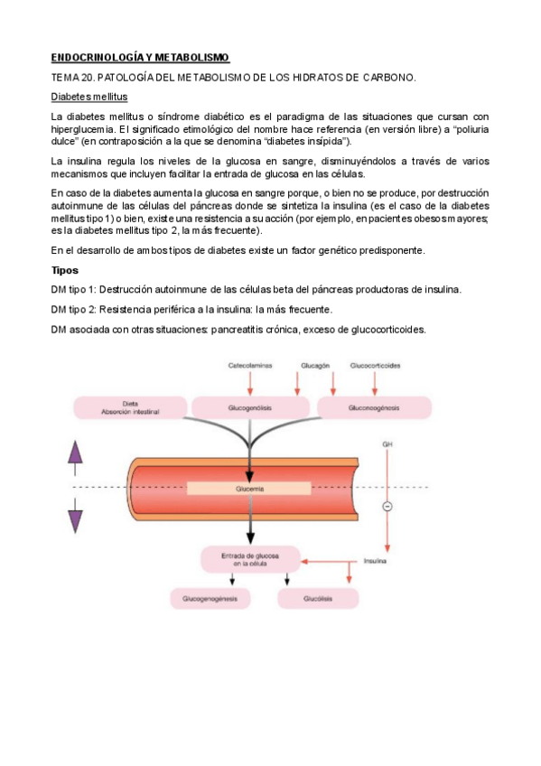 Miniatura del documento TEMA-20-21-22.pdf