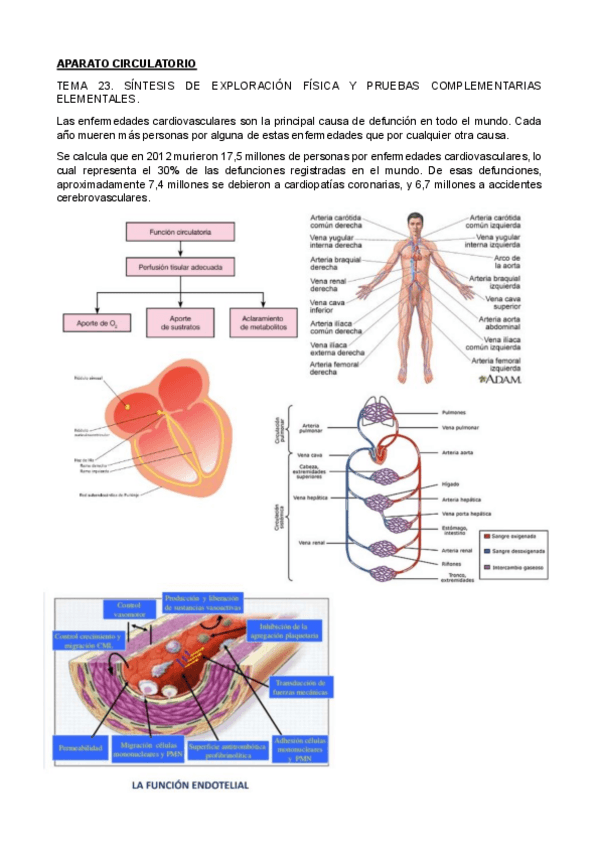 Miniatura del documento TEMA-23-24-25-26.pdf