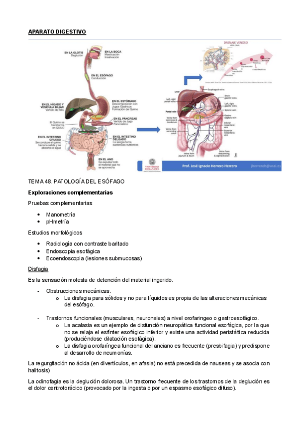 Miniatura del documento TEMA-48-49-50-51.pdf
