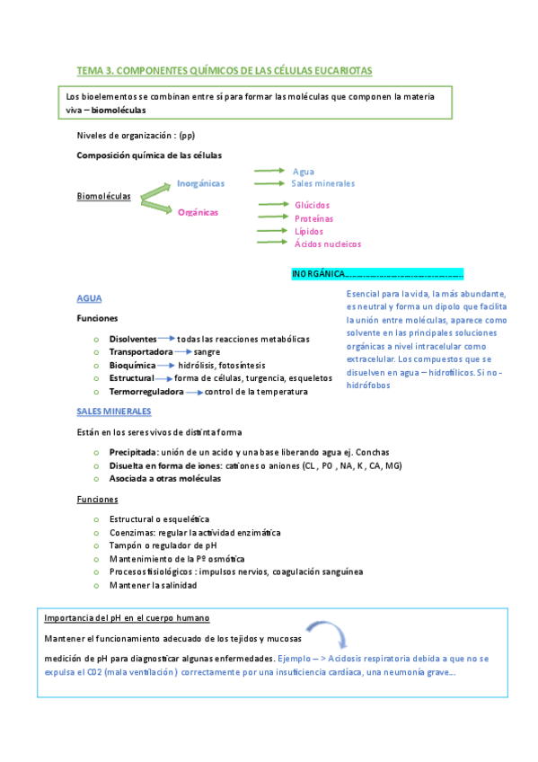 Miniatura del documento TEMA-3.-Componentes-quimicos-de-las-celulas-eucariotas.pdf