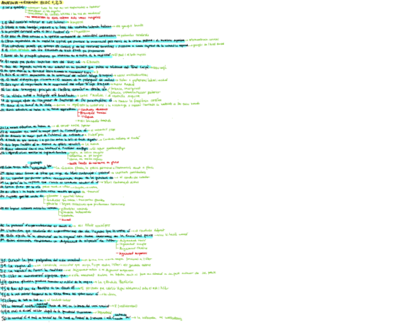 Miniatura del documento Primer-examen-Anatomia.pdf
