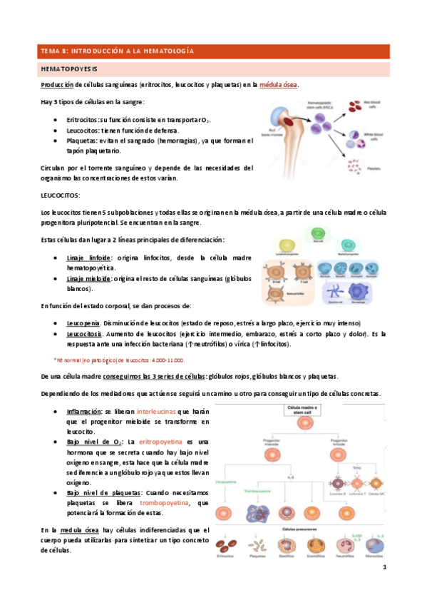Miniatura del documento Tema-8.pdf