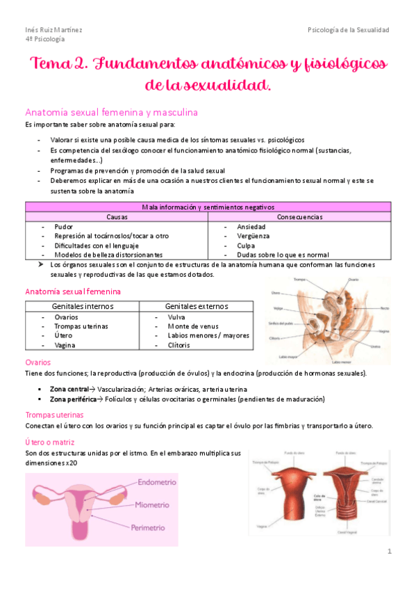 Miniatura del documento Tema-2.-Anatomia.pdf
