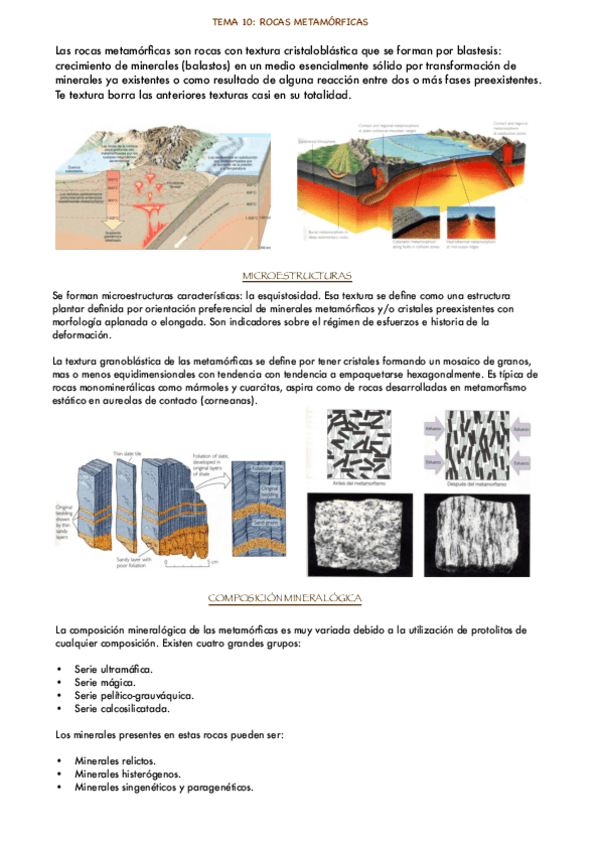 Miniatura del documento GEOLOGIA-TEMA-10.pdf