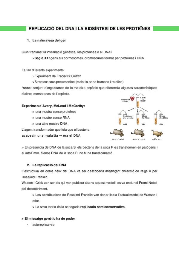 Miniatura del documento BIO-2.docx