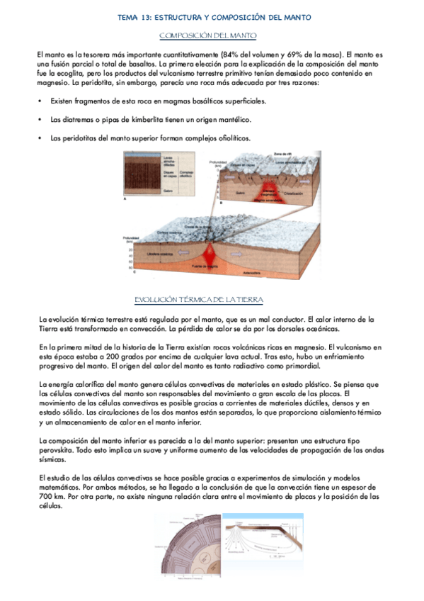 Miniatura del documento GEOLOGIA-TEMA-13.pdf