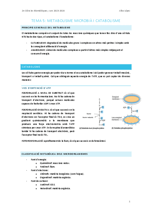 Miniatura del documento Tema-5.-Introduccio-al-metabolisme-procariota-i-catabolisme.pdf