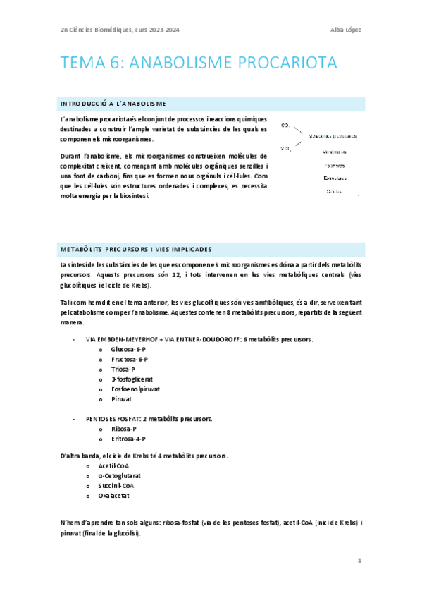 Miniatura del documento Tema-6.-Anabolisme.pdf