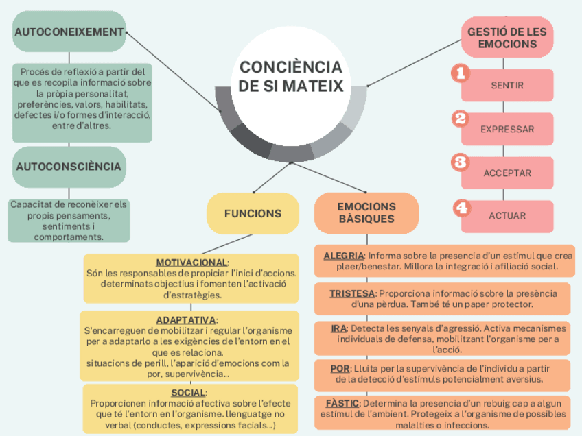 Miniatura del documento CONCIENCIA-DE-SI-MATEIX.pdf