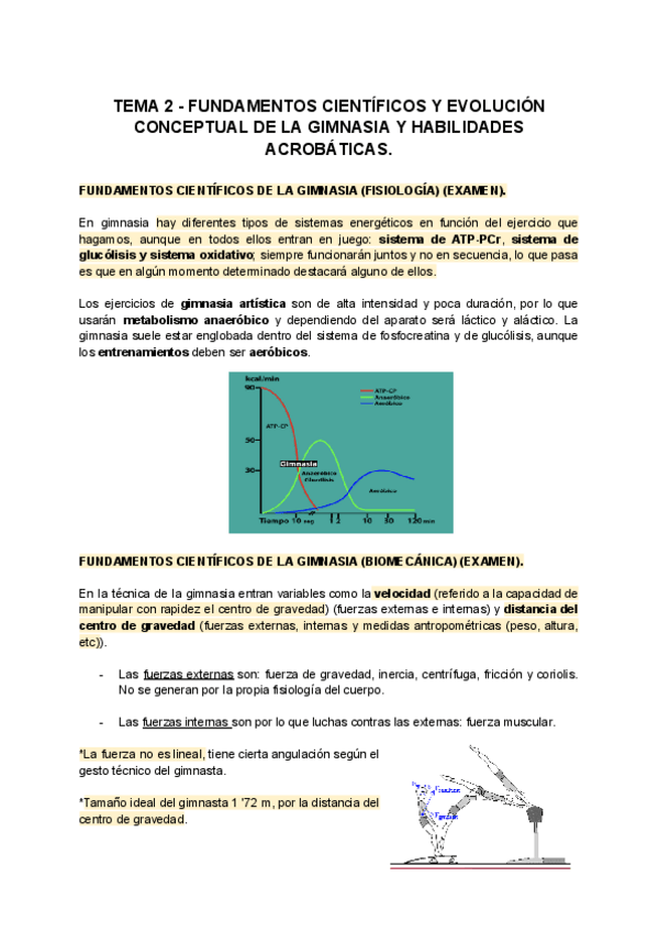 Miniatura del documento TEMA-2-FUNDAMENTOS-CIENTIFICOS-Y-EVOLUCION-CONCEPTUAL-DE-LA-GIMNASIA-Y-HABILIDADES-ACROBATICAS.pdf