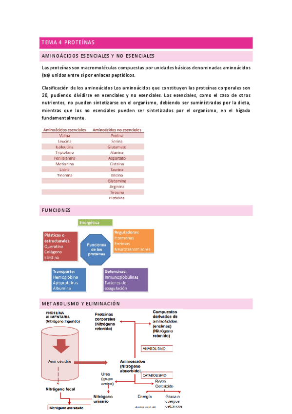 Miniatura del documento TEMA-4-PROTEINAS.pdf