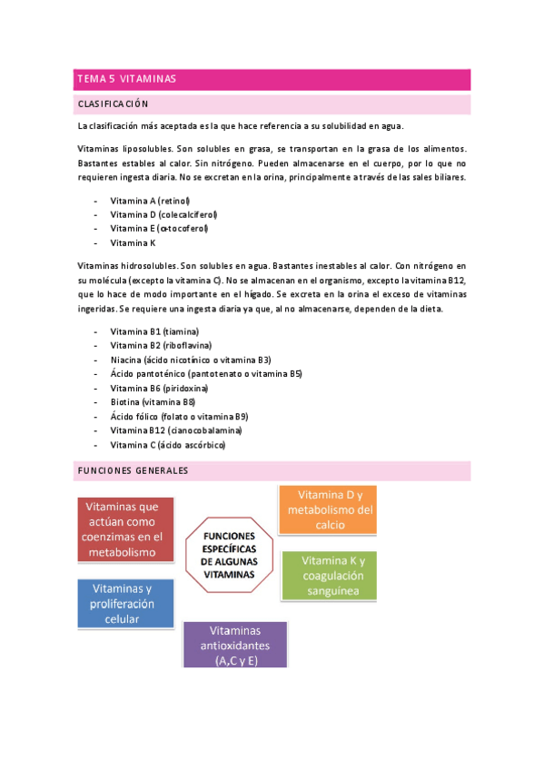 Miniatura del documento TEMA-5-VITAMINAS.pdf