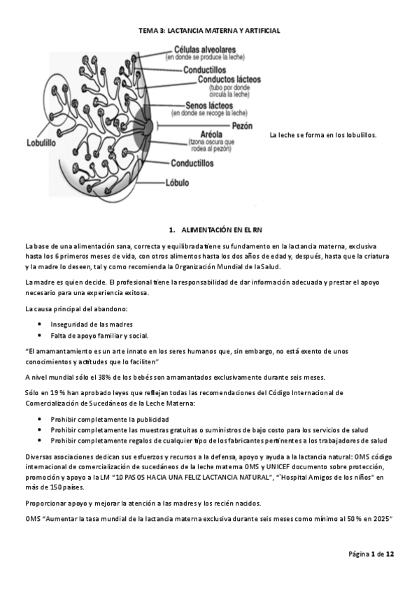 Miniatura del documento TEMA-3-INFANCIA.pdf