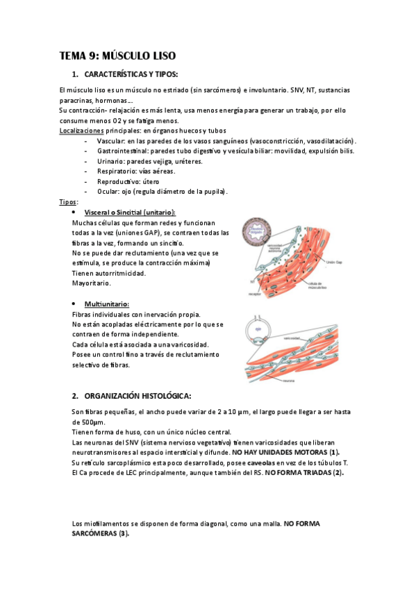Miniatura del documento TEMA-9-El-musculo-liso.pdf