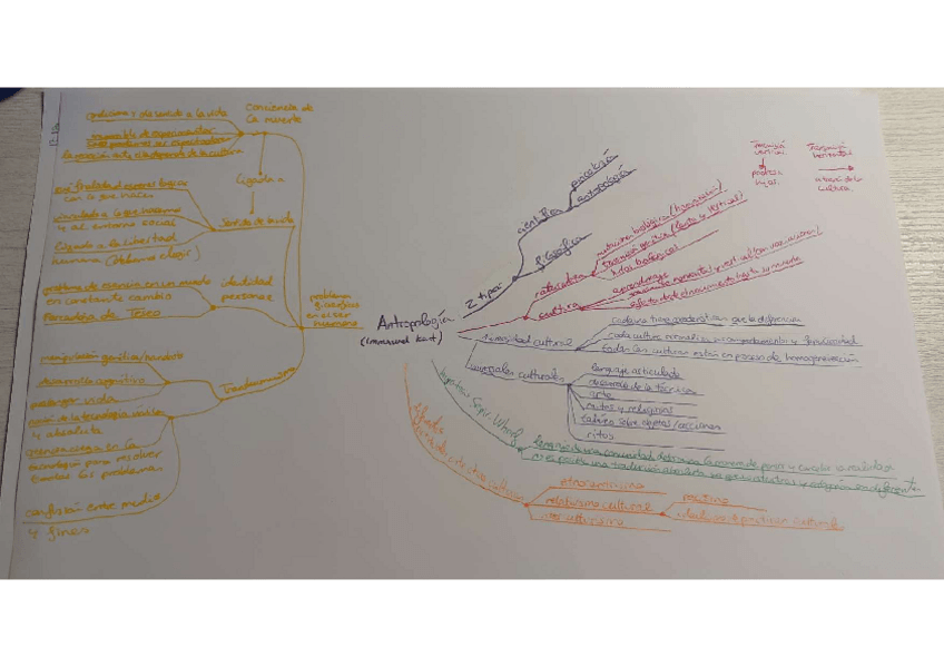 Miniatura del documento Mapa mental: Antropología.pdf