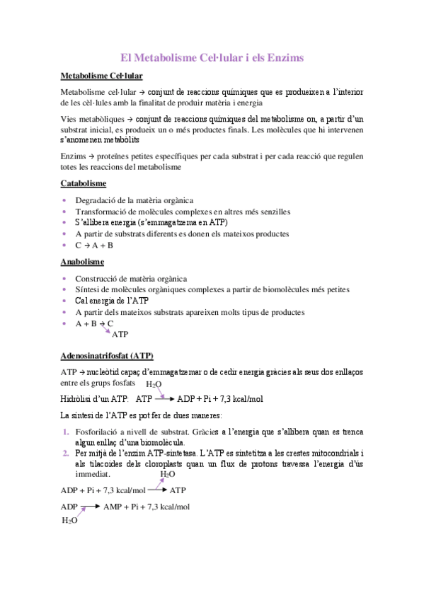 Miniatura del documento EL-METABOLISME-CELLULAR-I-ELS-ENZIMS-2n-BATXILLERAT-LP.pdf