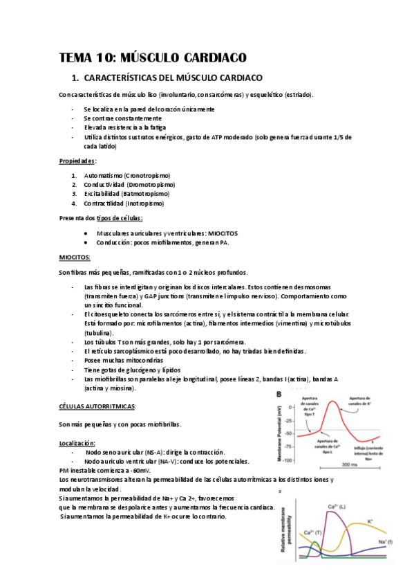 Miniatura del documento TEMA-10-El-musculo-cardiaco.pdf