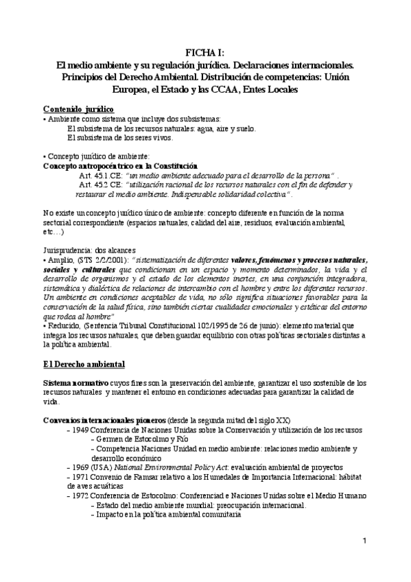 Miniatura del documento DERECHOENEROLC.pdf